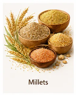 Millets & Grains