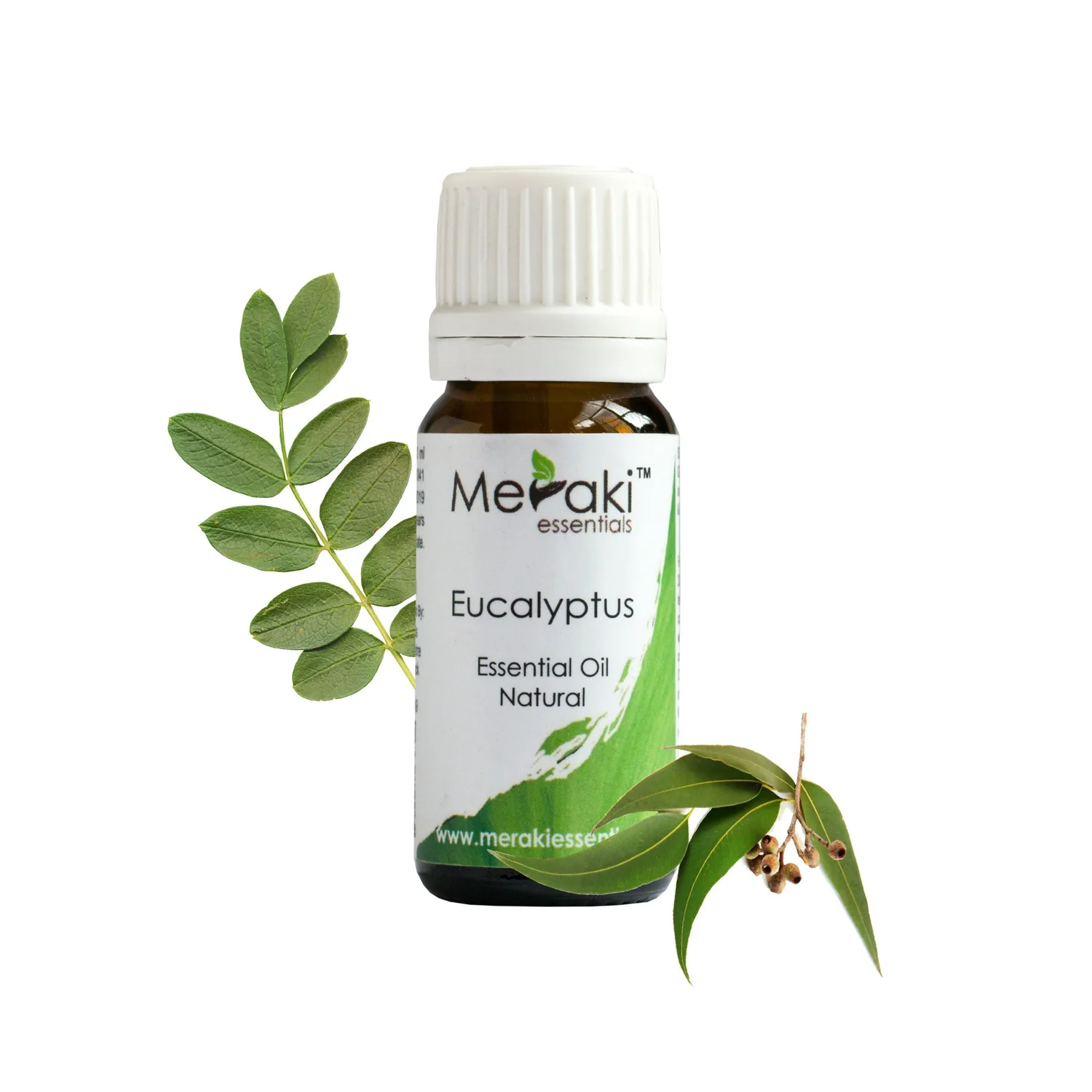 Eucalyptus Oil