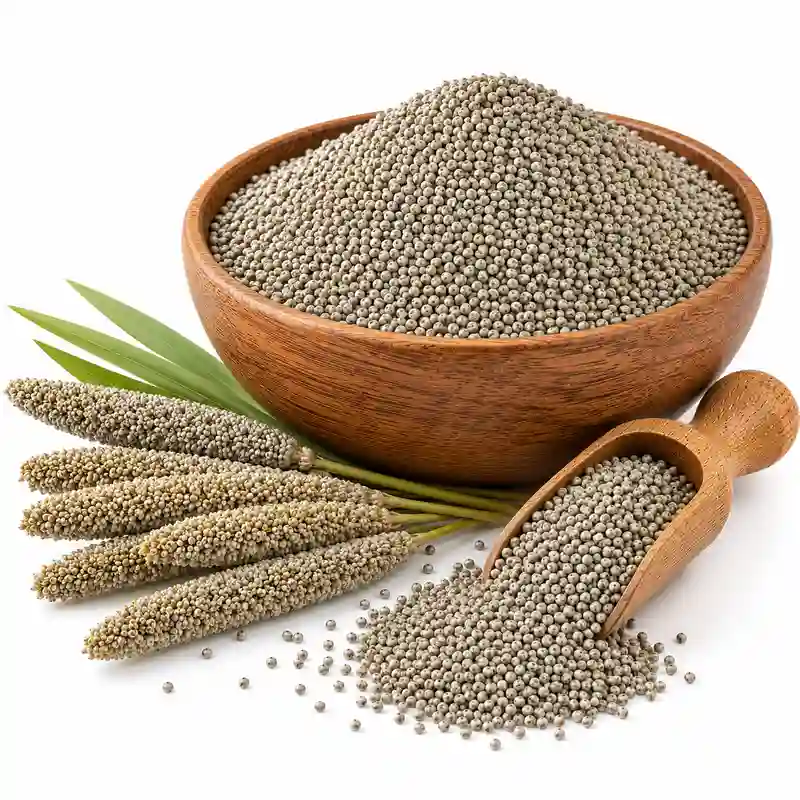 Bajra ( Pearl Millet )